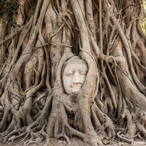 Bangkok to Ayutthaya by River Sun Cruise