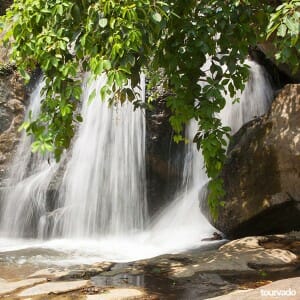 Chiang Mai Full Day Safari Mae Sa Elephant Village Tour