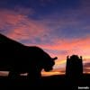 Chiang Mai Night Safari Tour