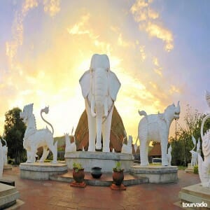 Chiang Mai Night Safari Tour