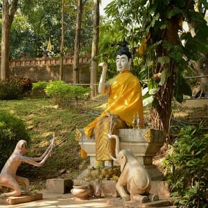 One Day Golden Triangle Boat Tour Karen Hill Tribe Trip Visit Laos