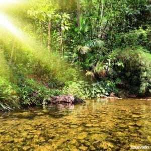 Khao Lak National Park (Lam Ru) Tour from Phuket