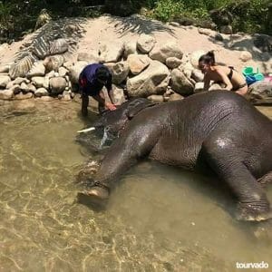 Phang Nga Safari Full Day Tour