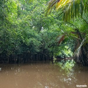 Phang Nga Safari Full Day Tour