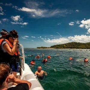 Koh Samui Island Cruise and Snorkel Full Day Tour