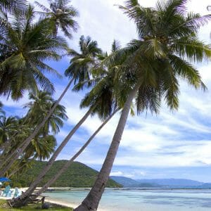 Koh Samui Island Cruise and Snorkel Full Day Tour