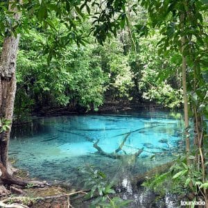 Krabi Jungle Tour, Tiger Cave Temple, Emerald Pool, Krabi Hot Spring