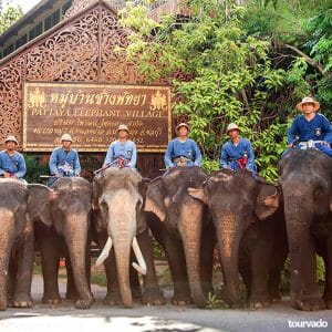 Elephant Village Tour in Pattaya
