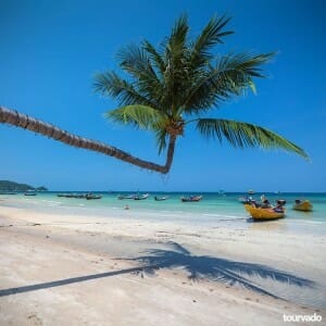 Koh Tao & Koh Nang Yuan Tour from Koh Phangan