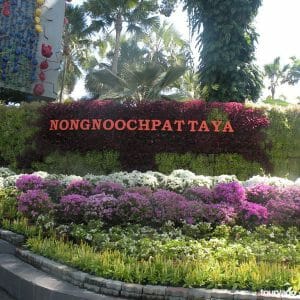 Nong Nooch Village Half Day Tour from Pattaya