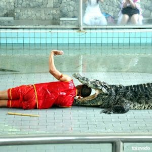 Pattaya Crocodile Farm Show