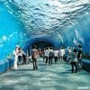 Underwater World Pattaya