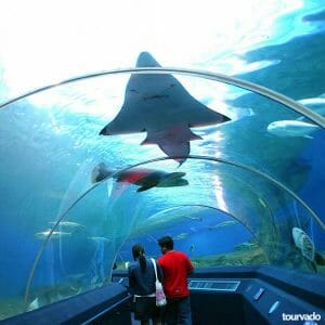 Underwater World Pattaya