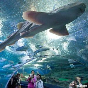 Underwater World Pattaya