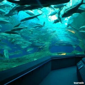 Underwater World Pattaya