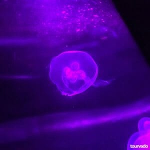 Underwater World Pattaya