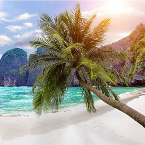 Phi Phi Islands Tour by Speedboat from Phuket