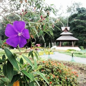 Doi Suthep Tour Phuping Palace