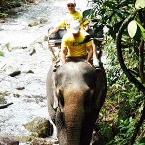 Half day Phuket ATV tour and Zip Line Tourvado