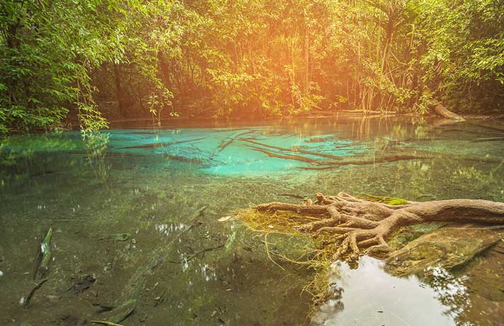 The Krabi Emerald pool