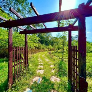 Discover Hidden Gems Only the Locals Know About