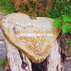 Private Siem Reap City Tour - Key Highlights