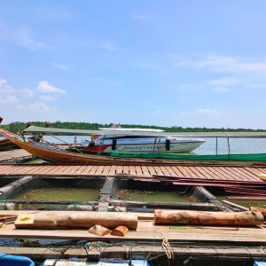 Private Longtail Fleet Ready - Your Exclusive Traditional Thai Boat Awaits for the Ultimate James Bond Island Experience